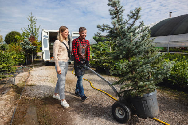 Best Stump Grinding Near Me  in Little Rock, AR